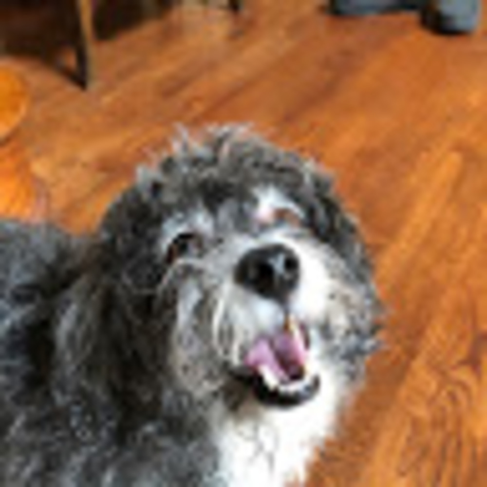 Meet your Posher, Georgia